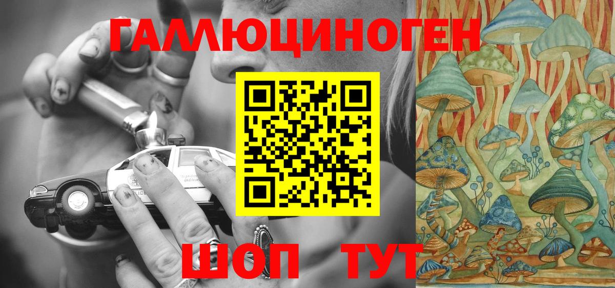 где найти   Вход с VPN  Зима  Галлюциногенные грибы MAGIC MUSHROOMS  Галлюциногенные грибы ЛСД 